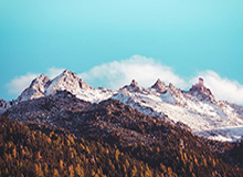 由守转攻一把抓，弗拉霍维奇在这波进攻中表现抢眼